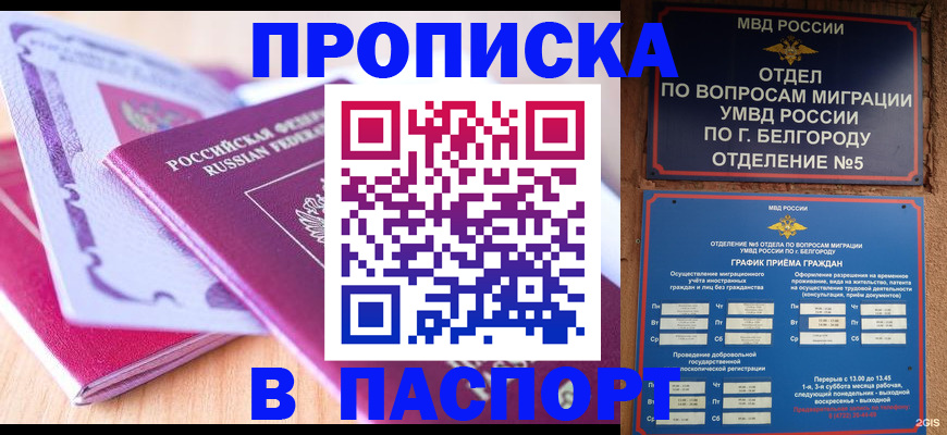 временная регистрация законно в Петропавловске-Камчатском